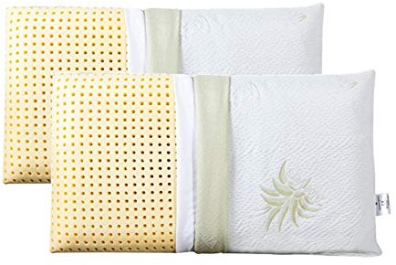 EVERGREENWEB 2 Kissen 100% Memory Foam aus Aloe Vera und Baumwolle, Waschbarer Bezug, Seifenmodell, 18 cm Hoch
