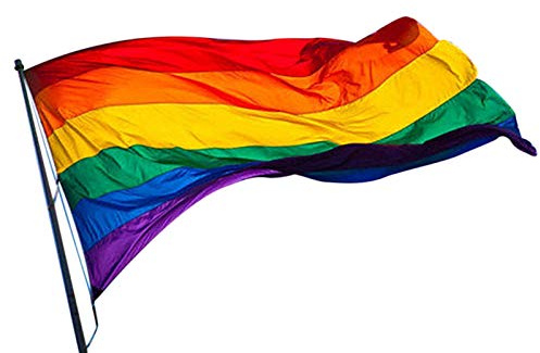 Awayhall Drapeau Arc-en-Gay Pride Drapeau Couleurs Vives LGBT Pride Drapeau Lesbian Gay Parade Décoration 90x60cm Résistant À La Décoloration UV
