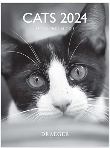 DRAEGER PARIS | Petit calendrier mural Chats noir et blanc 2024 à suspendre 14x18cm |16 mois sept 23 à dec 24 | 7 langues | Calendrier bureau, cuisine, maison mensuel | Papier certifié FSC®