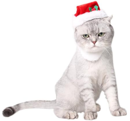 Toddmomy Entzückende Weihnachtsmannmütze Für Haustiere Größe: Partyhut Bart Und Glöckchen Cosplay-Requisite Für Weihnachten Und Partys