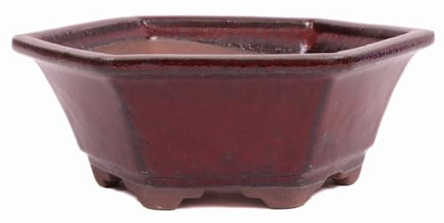 Bonsai - Schale 6-eckig 18.5 Ø x 7 cm Bordeaux 22171