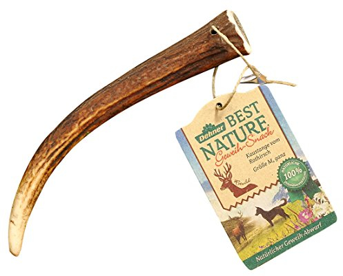 Dehner Best Nature Hundesnack, hochwertiges Leckerli geruchsarm / 100% natürlich, Kausnack für Hunde, Rothirsch-Geweih, Größe L