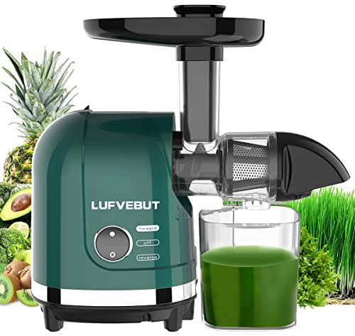LUFVEBUT Vegetable Juicer for Celery, Wheatgrass, Spinach, Ginger, Fruit Juicer Machines, Slow Chew Juicer, Cold Press Juice Extractor, Separate Pulp, M