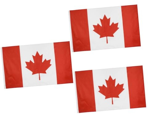 Toddmomy Lot De 3 Drapeaux Nationaux Du Canada 90 X 150 Cm Drapeaux D'encouragement Pour Jeux Événements Décorations Doubles Trous