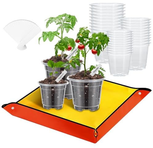 mizikuu 30 Pezzi Vasi per Orchidee, Vasetti per Piantine con Tappetino per Piante 8.9cm 10cm 12.8cm Vasi da Vivaio Trasparenti con Foro Per Drenaggio per Interni, Esterni, Giardino, Balcone