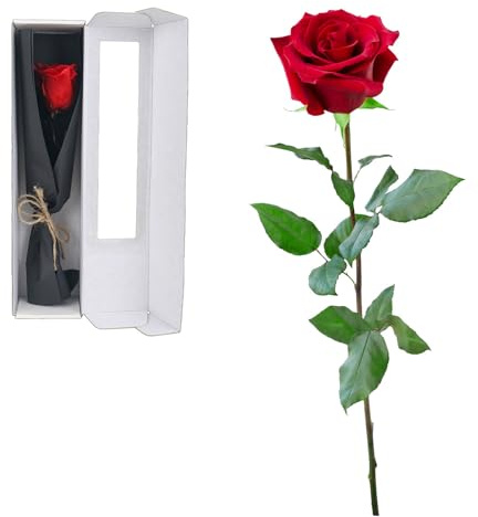 Junrvivy Rosa eterna Regalos para mujeres – Rosa infinito en caja de regalo rosas para ella mamá novia, flores conservadas Día de la Madre Navidad