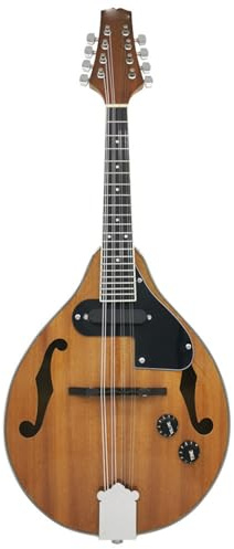 Musical Instruments Eight String Mandolin Guitar Adult Music Practice(4)