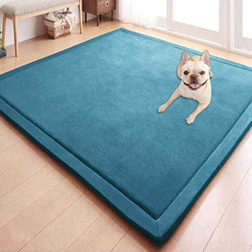 GGoty Korallen-Samt-Teppich, Baby-Spielmatte für Boden, rutschfester Teppich, Krabbelmatte, großer Teppich für Kinderzimmer, Baby, Haustier-Schlafzimmer, Wohnzimmer (120 x 120 cm, Seeblau)