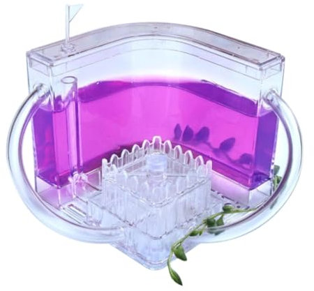 Ameisenhaus Ameisenfarm Ameisenburg Ameisenburg-Beobachtungsset, Ameisenfarm, Durchscheinendes Gel, Ameisenzuchtset, Ameisennest, Farm, Ameisenlebensraum, Wissenschaft Ameisennest Ameisen Zucht Box(P