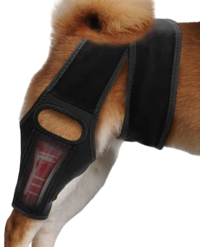 Soporte de pierna canina – Protector de rodilla y cadera para perro, 10 varillas reforzadas, estabilizador ortopédico de pierna trasera, ayuda a la recuperación de lesiones, equipo de asistencia de