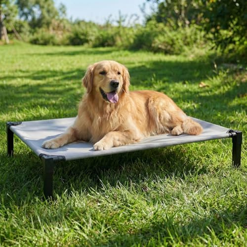 Niubya Elevated Dog Bed for Large Dogs, Cooling Mesh Cot, Chew-Proof Washable, Rust-Resistant Metal Frame, Non-Slip Feet – XL: 130x92x24 cm – for Labrador, German Shepherd & Golden Retriever