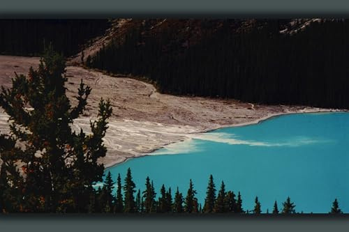 History Galore 4x6 Gallery Poster, Photo of rock flour (glacial flour) flowing into Peyto Lake, Banff National Park, Alberta, Canada