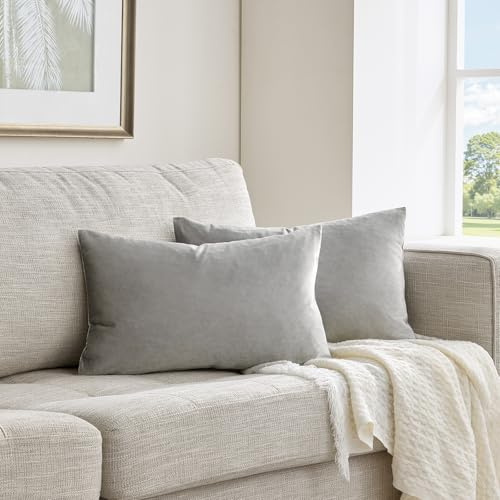 GIGIZAZA 2er Set Samt Kissenbezug Grau Dekokissen Lendenkissen Dekorative Kissenhülle Weich Sofakissen Zierkissen deko für Sofa Wohnzimmer Schlafzimmer 30x50 cm