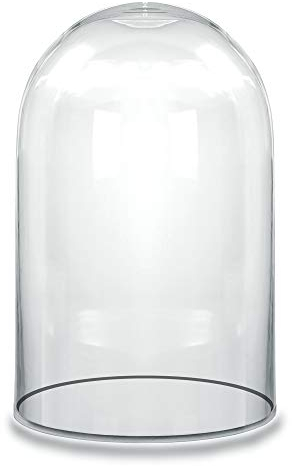 CYS EXCEL Tall Glass Cloche Dome (H:15 D:9.75) | Multiple Sizes Decorative Showcase Display for Antique Collectibles | Bell Jar Terrarium & Dessert Cover