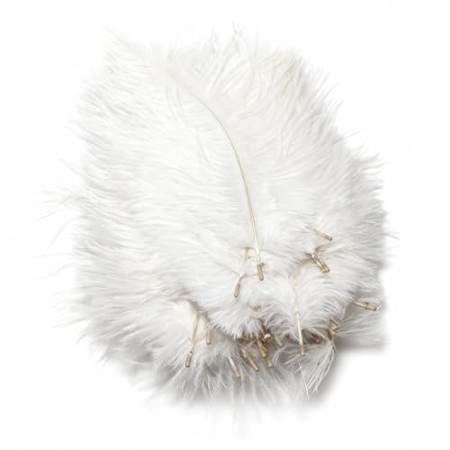 Lot de 50 plumes d'autruche naturelles de 15,2 à 20,3 cm - Plume blanche - Bricolage - Décoration pour centres de table de mariage, fête, décoration d'intérieur