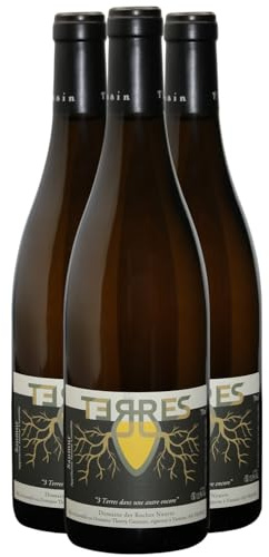 Saumur Terres - Cuvée en Amphore - Blanc 2022 - Domaine des Roches Neuves - Vin Blanc du Val de Loire (3x75cl) BIO