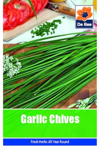 Vegetable Seeds for Growing Garlic Chives 55 Seeds Grow Your Own Garden Vegetable Salad Herb Seed