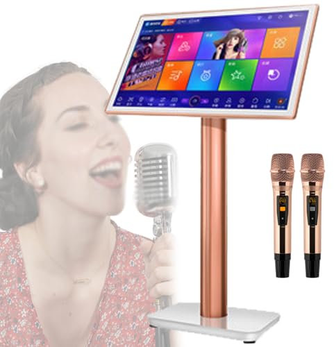 Máquina de karaoke profesional - Reproductor de karaoke KTV con micrófono inalámbrico, pantalla táctil capacitiva de 19,5/22 pulgadas, reproductor de cine en casa en línea, 19,5 pulgadas - 4 TB