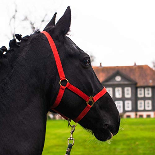 Pferdelinis Halfter für Pferd Warmblut, Vollblut, Kaltblut – Stallhalfter, Weidehalfter, 2 Fach verstellbar an Kinnriemen und Genickstück, sicher & reißfest (Rot, Vollblut (Cob))