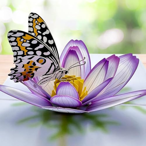 YianHien Geburtstagskarte Frau Schmetterling und Kosmeenblumen | 3D Pop Up Karte zum Geburtstag Muttertag Danke Gute Besserung Lehrertag Jahrestag, Geschenk für Mama Oma