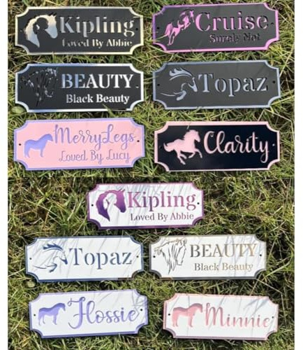 Personalisiertes Pferdestall Namensschild, Ponystall Namensschild, Personalisiertes Outdoor Pferd Name/Nummer Türschild Geschenk For Pferdeliebhaber(30x10cm)