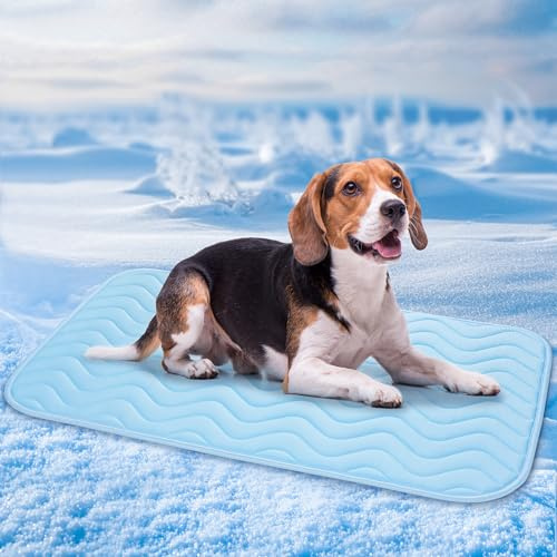 BaoDan Tapis Rafraichissant Chien,75x50cm Tapis Rafraichissant pour Chien | Bleu, Soie Glacée Respirant, Coussin Rafraîchissant Lavable, Durable, Idéal pour Chat, Les Animaux de Compagnie en été