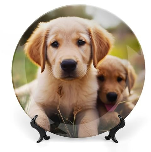 Retriever Assiettes à dîner en porcelaine anglaise Motif chiot 25,4 cm Grandes assiettes décoratives pour présentation en céramique avec support de présentation - Assiette en porcelaine personnalisée