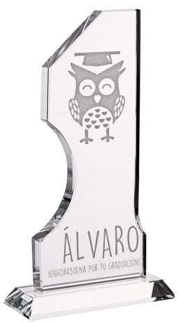 Wanapix | Personalisierte Trophäe mit Name und Text | Graviertem Glas | Personalisierte Trophäe | Inklusive Aufbewahrungsbox | Auszeichnung (18 cm)