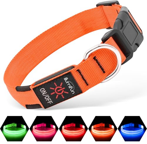 Illumifun LED Leuchthalsband für Hunde - USB-wiederaufladbar Leuchthalsband Hund, Wasserdicht & Größenverstellbar für Mittel Hunde (Orange, M)