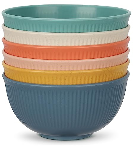 Chuboir Müslischalen 6 Stück Dessertschalen Plastik Leichtgewicht Schüsselsets Suppen Cerealienschalen, Wiederverwendbar Bowl Snack Pasta Salat Obst Ramen Küche Picknickschale Grillpartys Rührschüsse