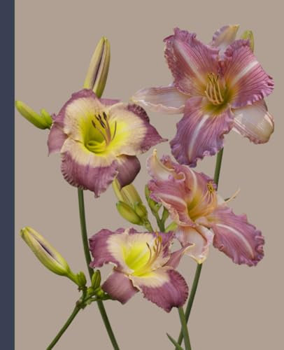 Flower Pixel Studio-Flower Notebook: 7.5 x 9.25 Lined Journal, 110 Pages, Daylilies Photography Cover v12