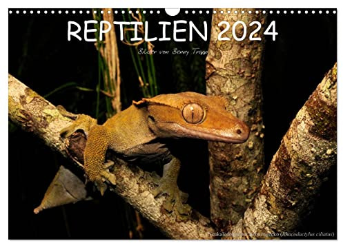 REPTILIEN (Wandkalender 2024 DIN A3 quer), CALVENDO Monatskalender: Reptilien aus aller Welt (CALVENDO Tiere)