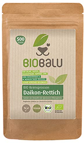 Bio Daikon-Rettich Keimsprossen Samen 500 g - Microgreens & Sprossen Saatgut - Zur Anzucht im Sprossenglas, in der Keimschale & im Sieb - Keimsaat (Daikon-Rettich)