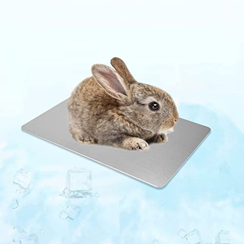 Hileyu Kühlmatte für Kleintiere Kaninchen Meerschweinchen Hamster Kühlkissen Schlafbetten für Kleintier Welpe Katze Hase (30 * 20cm/11.8 * 7.8in)