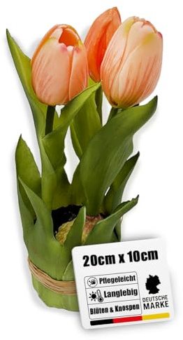Botanic-Haus Kunsttulpen Sandy – Frühlingsdeko selbst stehend mit 2 Tulpen und 1 Tulpenknospe Farbe: lachs real-Touch, Kunstblumen wie echt, erfrischende künstliche Blumen für Ihre Frühjahrsdeko