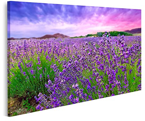 islandburner Bild auf Leinwand Sonnenuntergang Über Einem Lavendelfeld Tihany Ungarn Bilder Wandbilder Poster