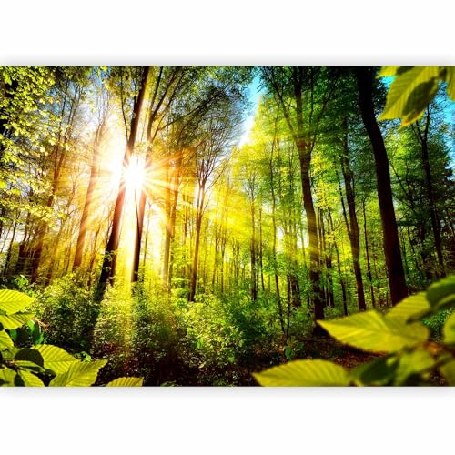 murando - Photo Wallpaper Landscape 350x256 cm / 137.8 x 96.5 - Non-Woven Premium Art Print Fleece Wall Mural Decoration Poster Picture Design Modern - Forest Green Trees Nature b-B-0248-a-a