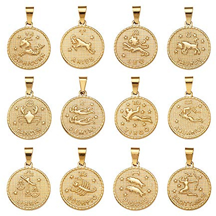 PandaHall flache runde Sternzeichen-Charms, zwölf Sternbild-Anhänger, Edelstahl, Edelstahl
