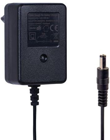 12V caricabatterie per auto elettriche per bambini, 12V 1A caricabatterie per elettrico cavalcare giocattoli, moto, SUV, ATV, auto, una varietà di auto elettriche