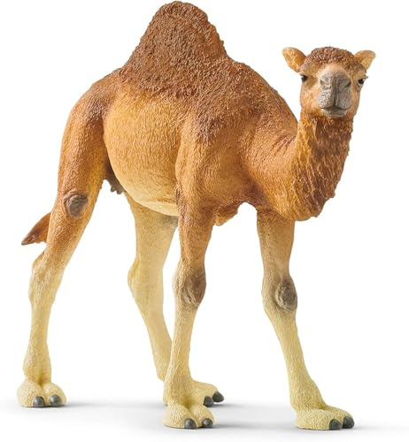 Schleich WILD Life | Dromedar 14832 | ab 3 Jahren | 14 x 4 x 10 cm | detailgetreue Tierfiguren | Zoo Spielzeug | tolles Geschenk für Jungen und Mädchen | Deko für Geburtstag