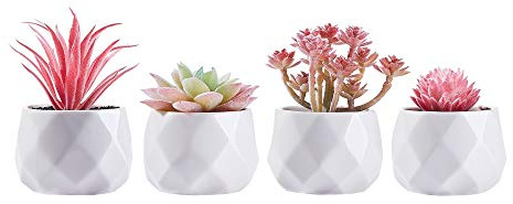 CADNLY Small Fake Desk Plant – Pink Desk Decor for Women - Artificial Succulent Plants - Faux Succulents in White Ceramic Pots – Mini Pink Succulent Decor for Bedroom Bathroom Bookshelf Office
