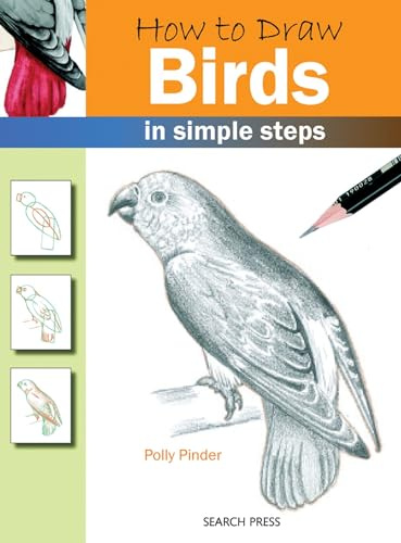 How to Draw Birds: In Simple Steps