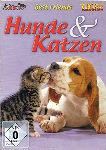 Best Friends: Hunde & Katzen