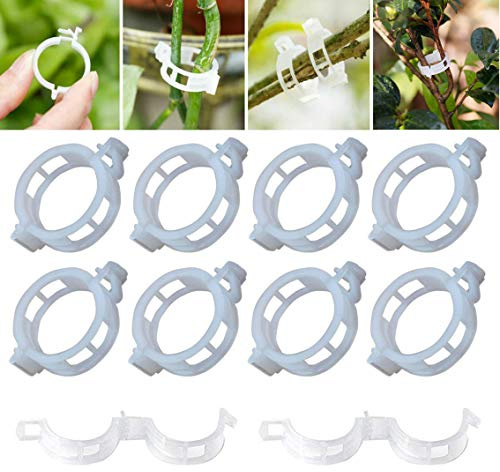 Upstore 100 Stück weiße Kunststoff-Pflanzen-Clips tragbar haltbar Garten Spalier Clip Fadenhalter für Ernte, Gemüse, Tomaten, Gurken, Weinrebe, um aufrecht zu wachsen und Pflanzen gesünder zu machen.