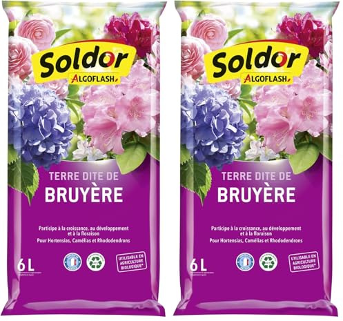Algoflash Terre Dite de Bruyère, UAB, Prête à l'emploi, Fabriquée en France, 6 L, TB6 (Lot de 2)