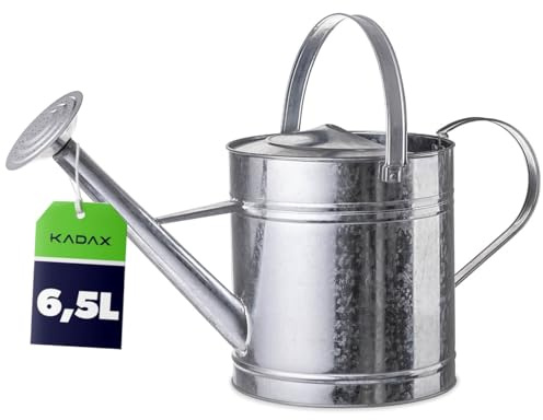 KADAX Zinkgießkanne 6,5L aus verzinktem Stahl, Metall Gießkanne mit Abnehmbarer Brause, Zink Giesskanne für Garten & Balkon, große Blumengießkanne (Silber)
