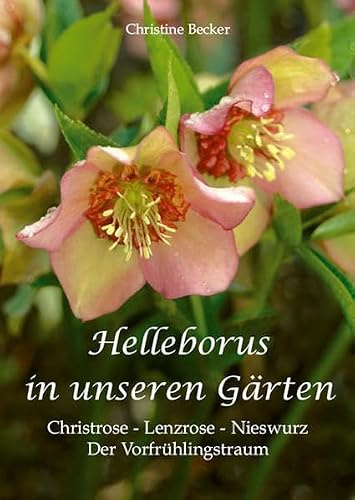 Helleborus in unseren Gärten: Christrose - Lenzrose - Nieswurz: Der Vorfrühlingstraum