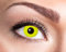 Zoelibat - Lenti a contatto colorate, qualità di marca, lenti settimanali, 2 pezzi, BC 8.6 mm/DIA 14.5 mm, Yellow Crow Eye, giallo