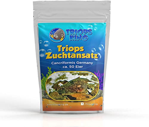 Triops King Triops Cancriformis Germany Zuchtansatz mit ca. 50 Urzeitkrebs-Eiern/Zysten Deutschland - Züchte Deine eigenen Urzeitkrebse bei dir zu Hause im Aquarium