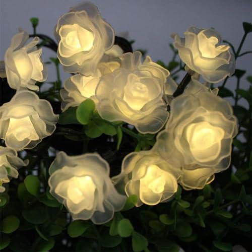 Fransande Solar Blume Lichterketten, Solar Outdoor Lichterketten 6M 30LED Rose Flower Lichterketten Flower Solar String Lights Outdoor Wasserdicht (Warmweiß) …
